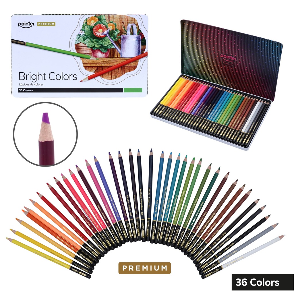 COLORES POINTER PREMIUM x36 