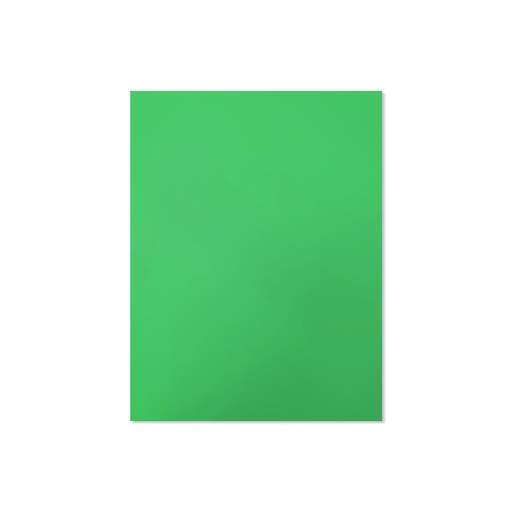 [41212.51] CARTULINA CARTA VERDE 220GR