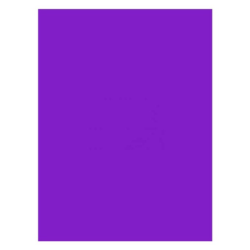 [67.2.3040] FOAMY LISO VIOLETA OBISPO - DOBLECARTA 30x40CM