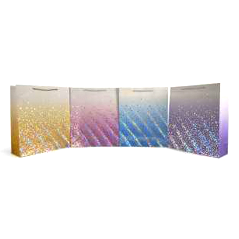 BOLSA DE REGALO MEDIANA