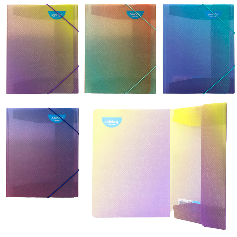 CARPETA PLASTICA