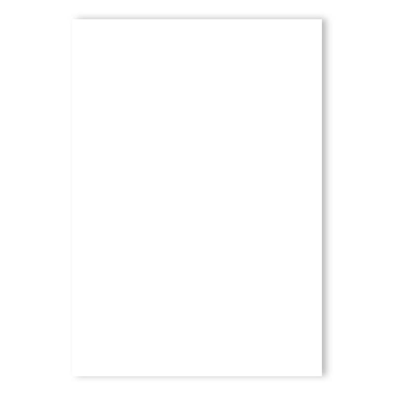 CARTULINA BRISTOL BLANCO OPALINA 160GR 48x66CM