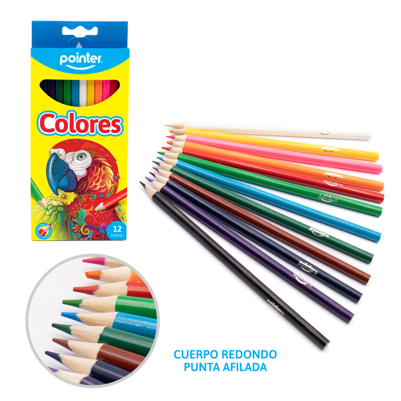 COLORES POINTER X12