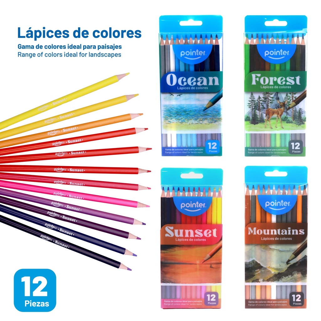 LAPICES DE COLORES x 12