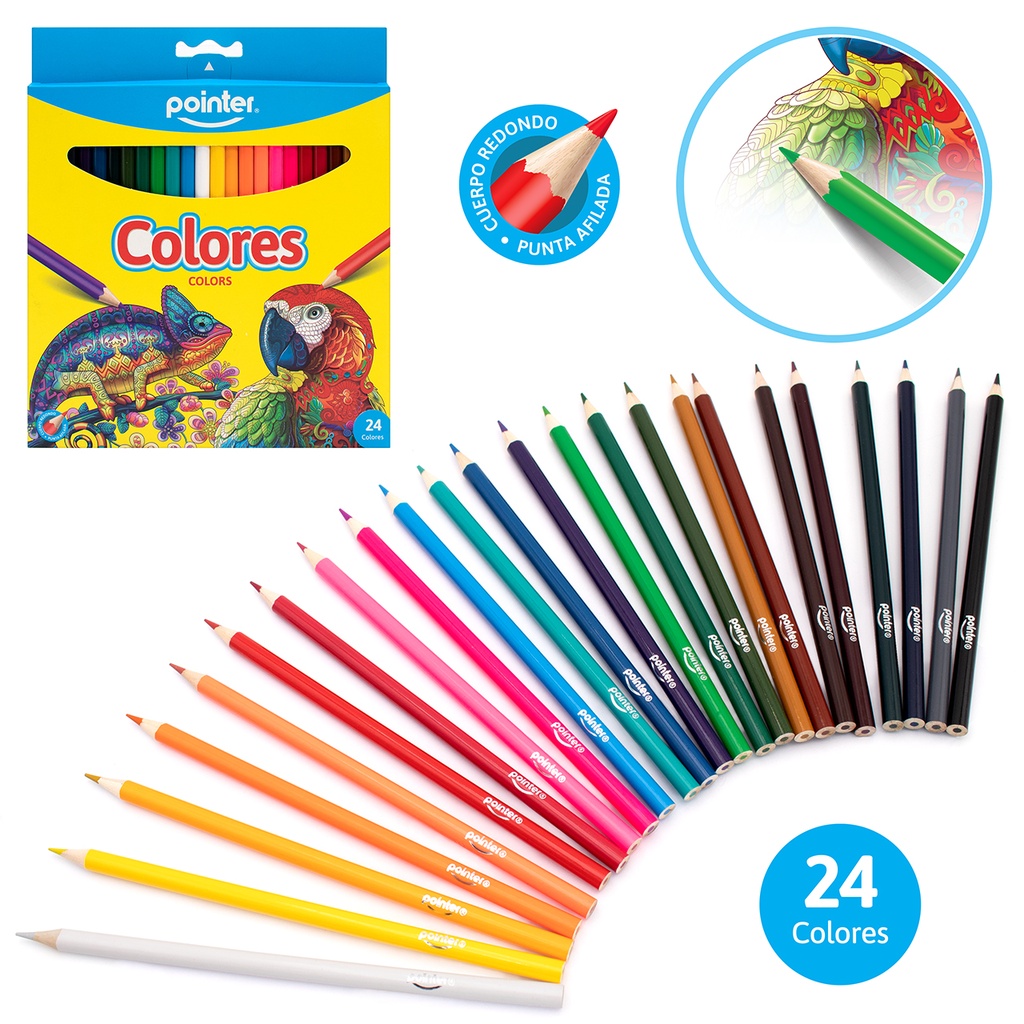 LAPICES DE COLORES LARGOS x 24 COLORES