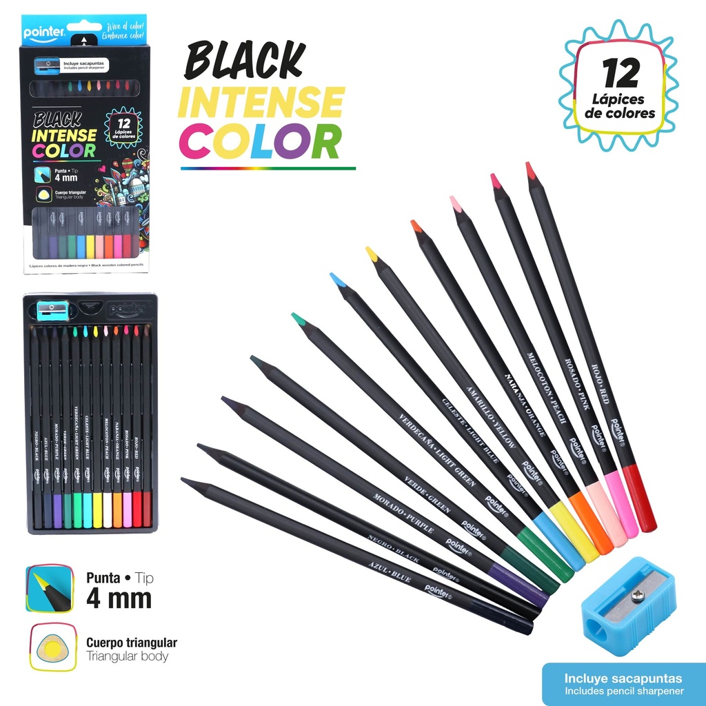 LAPICES DE COLORES x 12 (4.0 MM)