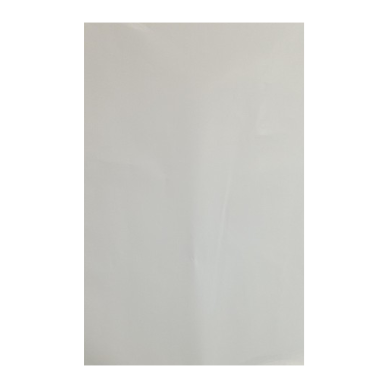 PAPEL GLASE 115G