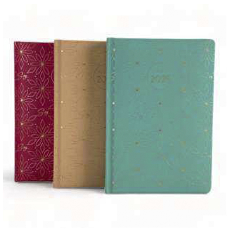 AGENDA 2025 A5 DIARIA PAPEL BLANCO 180 HOJAS