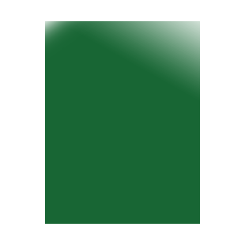 CARTULINA DOBLE FAZ ESPEJO VERDE