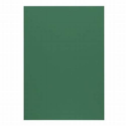 CARTULINA ESCOLAR VERDE OSCURO POINTER 50X70CM