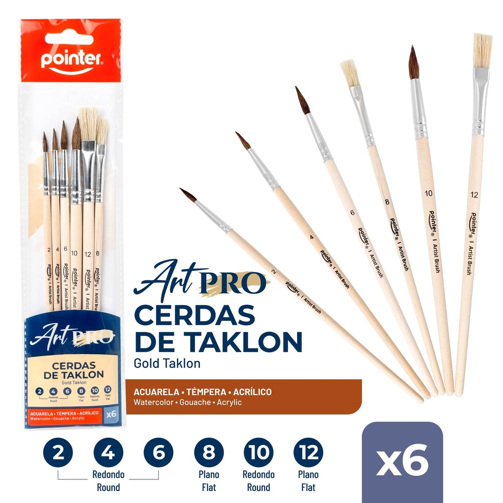 SET DE PINCELES x 6 PZAS.