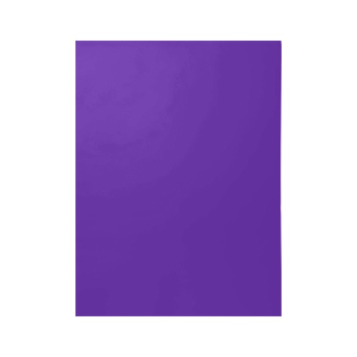 [2445.2] CARTULINA COLLEGE VIOLETA MORA 180GR 48x66CM