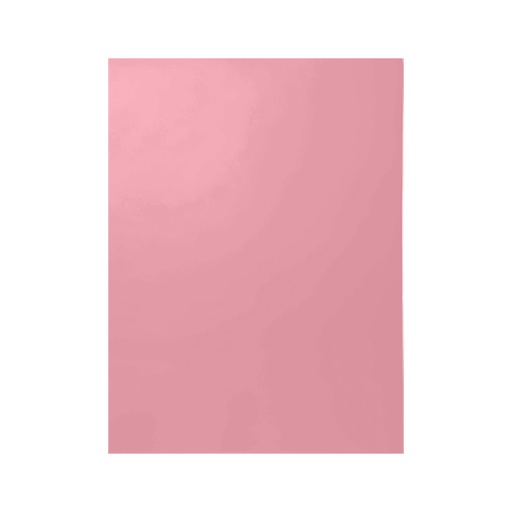 [2433.1] CARTULINA SCHOOL ROSADO MEDIO 120GR 48x66CM 