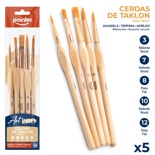 [AB-1010-03] SET DE PINCELES x 5 PZAS
