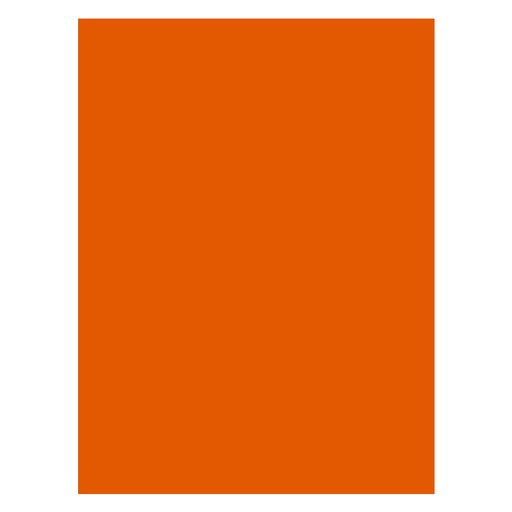 [37.2.3044] FOAMY 30X40 NARANJA ZAPOTE